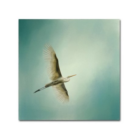 Jai Johnson 'Egret Overhead' Canvas Art,24x24